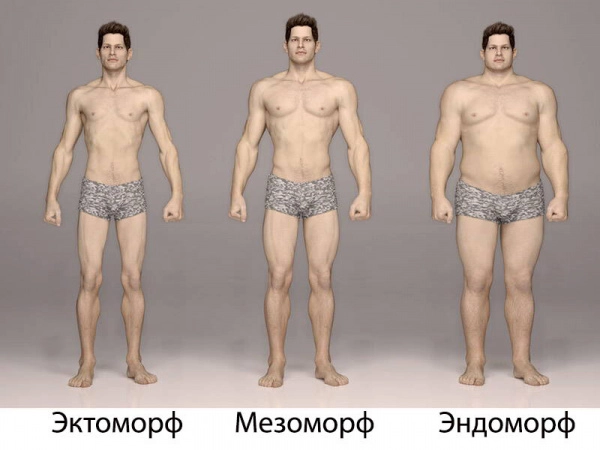 Если ты эктоморф